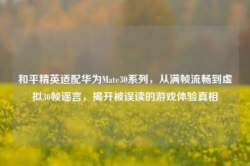 和平精英适配华为Mate30系列,从满帧流畅到虚拟30帧谣言,揭开被误读的游戏体验真相