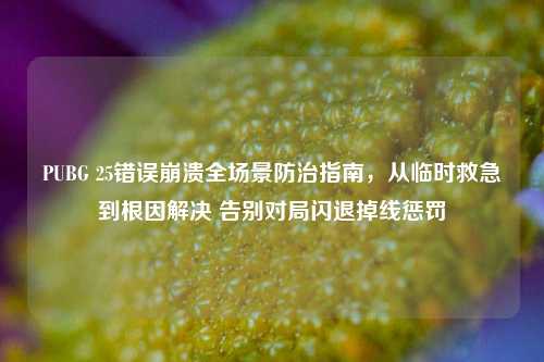 PUBG 25错误崩溃全场景防治指南,从临时救急到根因解决 告别对局闪退掉线惩罚