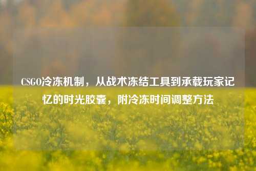 CSGO冷冻机制,从战术冻结工具到承载玩家记忆的时光胶囊,附冷冻时间调整方法