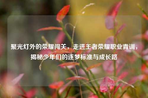 聚光灯外的荣耀闯关,走进王者荣耀职业青训,揭秘少年们的逐梦标准与成长路