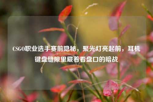 CSGO职业选手赛前隐秘,聚光灯亮起前,耳机键盘缝隙里藏着看盘口的暗战