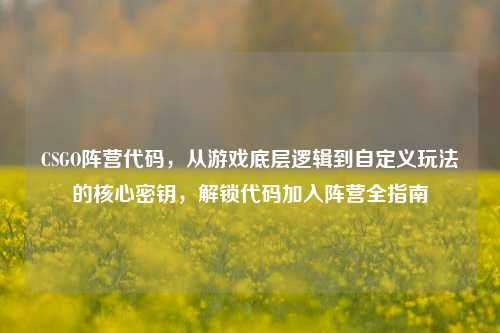 CSGO阵营代码,从游戏底层逻辑到自定义玩法的核心密钥,解锁代码加入阵营全指南