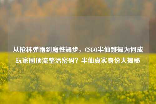 从枪林弹雨到魔性舞步,CSGO半仙跳舞为何成玩家圈顶流整活密码?半仙真实身份大揭秘