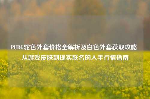 PUBG驼色外套价格全解析及白色外套获取攻略 从游戏皮肤到现实联名的入手行情指南