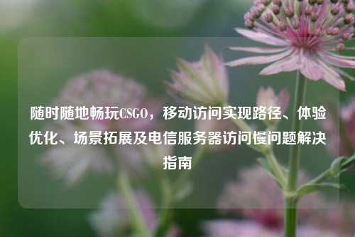 随时随地畅玩CSGO,移动访问实现路径、体验优化、场景拓展及电信服务器访问慢问题解决指南