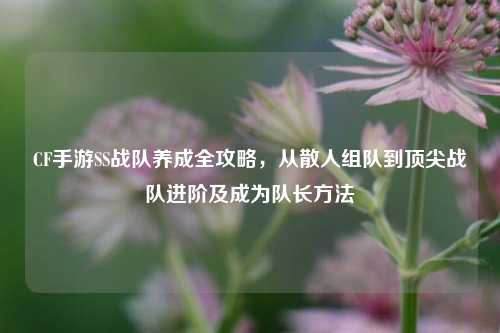 CF手游SS战队养成全攻略,从散人组队到顶尖战队进阶及成为队长方法
