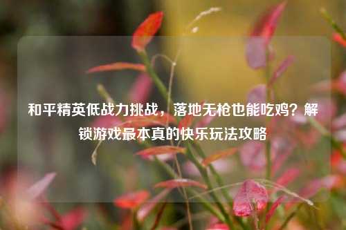 和平精英低战力挑战,落地无枪也能吃鸡?解锁游戏最本真的快乐玩法攻略