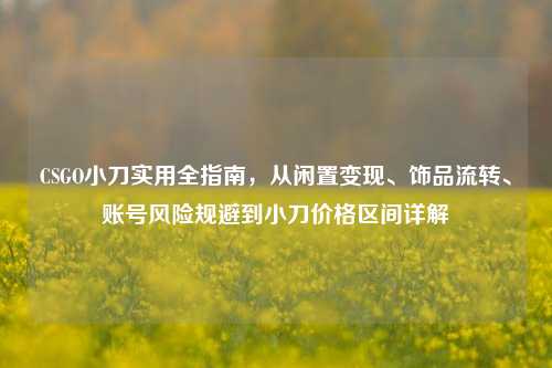 CSGO小刀实用全指南，从闲置变现、饰品流转、账号风险规避到小刀价格区间详解