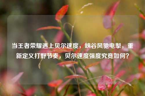 当王者荣耀遇上贝尔速度，峡谷风驰电掣，重新定义打野节奏，贝尔速度强度究竟如何？