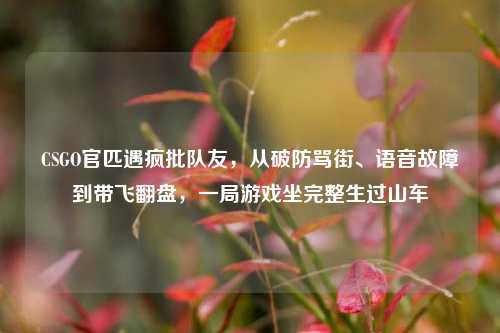 CSGO官匹遇疯批队友,从破防骂街、语音故障到带飞翻盘,一局游戏坐完整生过山车