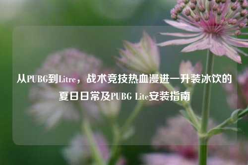 从PUBG到Litre，战术竞技热血漫进一升装冰饮的夏日日常及PUBG Lite安装指南