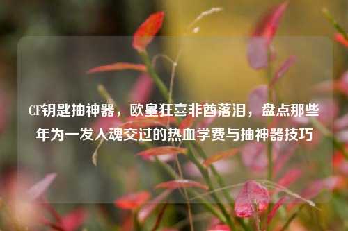 CF钥匙抽神器,欧皇狂喜非酋落泪,盘点那些年为一发入魂交过的热血学费与抽神器技巧