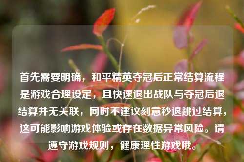 首先需要明确，和平精英夺冠后正常结算流程是游戏合理设定，且快速退出战队与夺冠后退结算并无关联，同时不建议刻意秒退跳过结算，这可能影响游戏体验或存在数据异常风险。请遵守游戏规则，健康理性游戏哦。