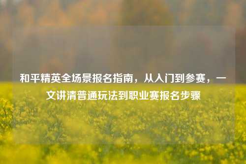 和平精英全场景报名指南,从入门到参赛,一文讲清普通玩法到职业赛报名步骤