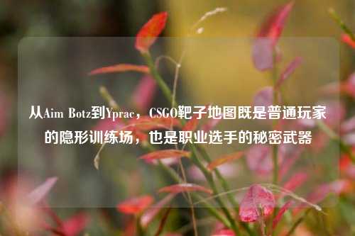 从Aim Botz到Yprac,CSGO靶子地图既是普通玩家的隐形训练场,也是职业选手的秘密武器