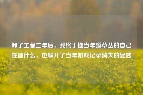 卸了王者三年后，我终于懂当年蹲草丛的自己在追什么，也解开了当年游戏记录消失的疑惑