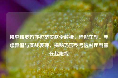 和平精英玛莎拉蒂皮肤全解析，适配车型、手感颜值与实战表现，揭秘玛莎型号选对座驾赢在起跑线