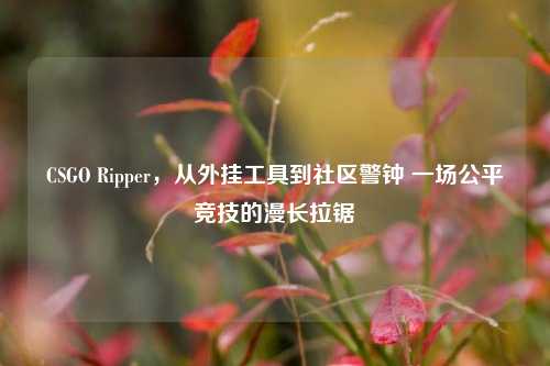 CSGO Ripper，从外挂工具到社区警钟 一场公平竞技的漫长拉锯