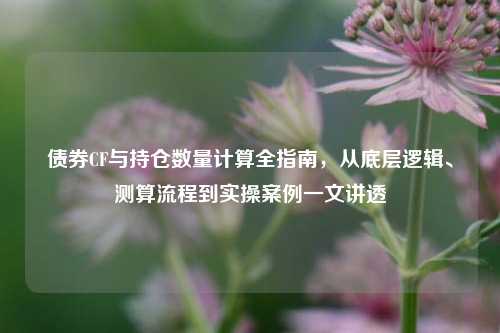 债券CF与持仓数量计算全指南,从底层逻辑、测算流程到实操案例一文讲透