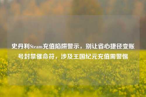 史丹利Steam充值陷阱警示,别让省心捷径变账号封禁催命符,涉及王国纪元充值需警惕