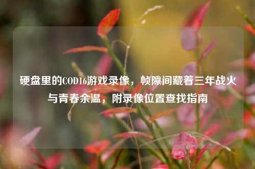 硬盘里的COD16游戏录像，帧隙间藏着三年战火与青春余温，附录像位置查找指南