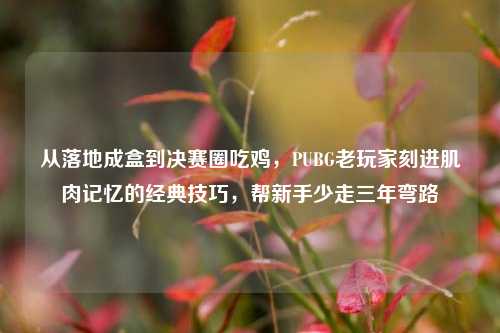 从落地成盒到决赛圈吃鸡,PUBG老玩家刻进肌肉记忆的经典技巧,帮新手少走三年弯路