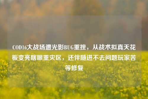 COD16大战场遭光影BUG重挫,从战术拟真天花板变亮瞎眼重灾区,还伴随进不去问题玩家苦等修复