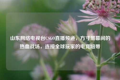 山东网络电视台CSGO直播频道,方寸屏幕间的热血战场,连接全球玩家的电竞纽带