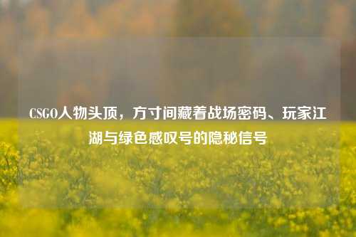 CSGO人物头顶,方寸间藏着战场密码、玩家江湖与绿色感叹号的隐秘信号