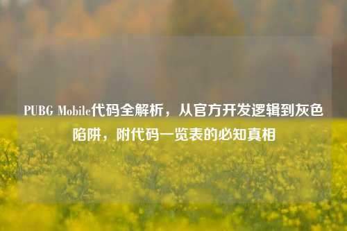 PUBG Mobile代码全解析,从官方开发逻辑到灰色陷阱,附代码一览表的必知真相