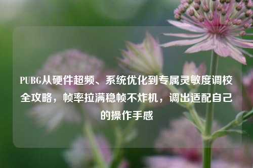 PUBG从硬件超频、系统优化到专属灵敏度调校全攻略，帧率拉满稳帧不炸机，调出适配自己的操作手感