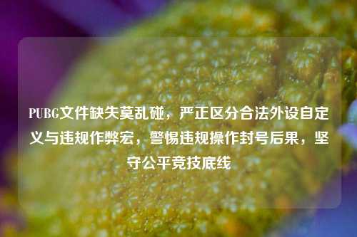 PUBG文件缺失莫乱碰，严正区分合法外设自定义与违规作弊宏，警惕违规操作封号后果，坚守公平竞技底线