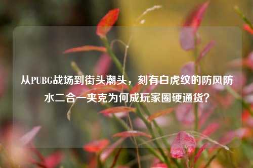 从PUBG战场到街头潮头,刻有白虎纹的防风防水二合一夹克为何成玩家圈硬通货?
