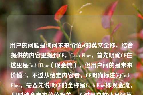 用户的问题是询问未来价值cf的英文全称，结合提供的内容里提到CF，Cash Flow，首先明确CF在这里是Cash Flow（现金流），但用户问的是未来价值cf，不过从给定内容看，CF明确标注为Cash Flow，需要先说明CF的全称是Cash Flow即现金流，同时结合未来价值相关，不过用户核心是问英文全称，所以首先给出CF的英文全称是Cash Flow，也就是现金流，另外要注意未来价值通常是Future Value（FV），可能用户是否有混淆？不过根据提供的内容里明确写了CF，Cash Fl