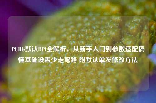 PUBG默认DPI全解析，从新手入门到参数适配搞懂基础设置少走弯路 附默认单发修改方法