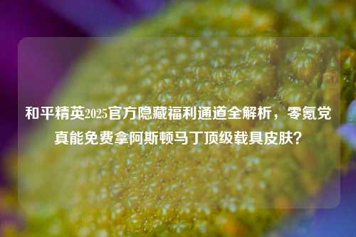 和平精英2025官方隐藏福利通道全解析，零氪党真能免费拿阿斯顿马丁顶级载具皮肤？