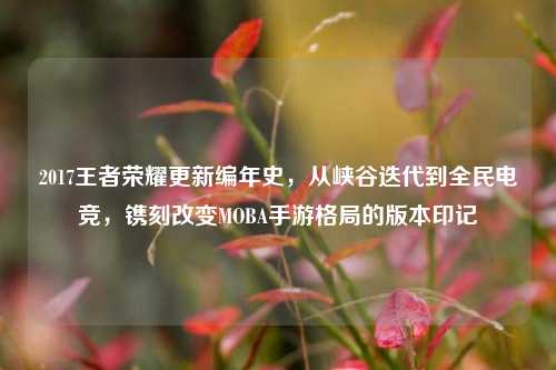 2017王者荣耀更新编年史，从峡谷迭代到全民电竞，镌刻改变MOBA手游格局的版本印记