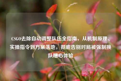 CSGO去除自动调整队伍全指南,从机制原理、实操指令到方案落地,彻底告别对局被强制换队糟心体验