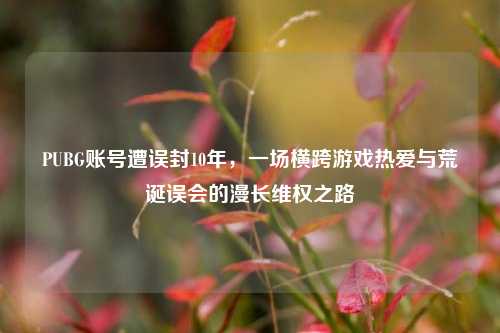 PUBG账号遭误封10年,一场横跨游戏热爱与荒诞误会的漫长维权之路