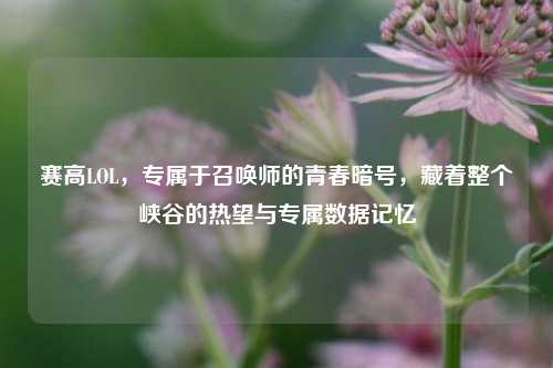 赛高LOL，专属于召唤师的青春暗号，藏着整个峡谷的热望与专属数据记忆