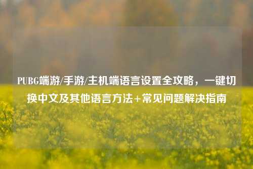 PUBG端游/手游/主机端语言设置全攻略，一键切换中文及其他语言方法+常见问题解决指南