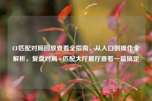 CF匹配对局回放查看全指南,从入口到操作全解析,复盘对局+匹配大厅展厅查看一篇搞定