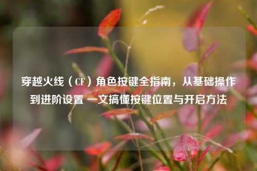 穿越火线（CF）角色按键全指南，从基础操作到进阶设置 一文搞懂按键位置与开启方法