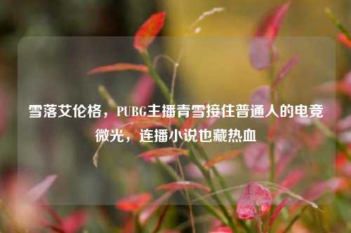 雪落艾伦格，PUBG主播青雪接住普通人的电竞微光，连播小说也藏热血