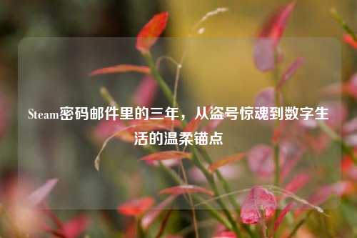 Steam密码邮件里的三年，从盗号惊魂到数字生活的温柔锚点