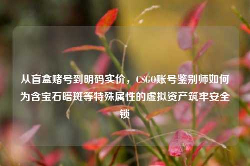 从盲盒赌号到明码实价，CSGO账号鉴别师如何为含宝石暗斑等特殊属性的虚拟资产筑牢安全锁