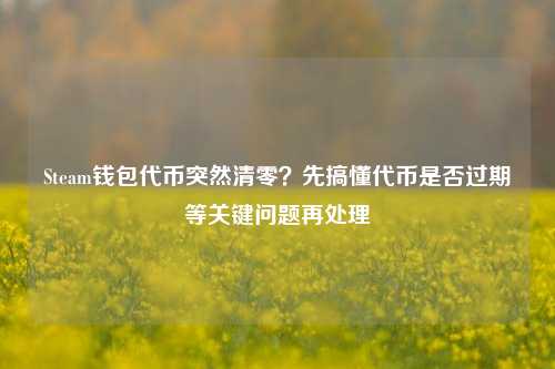 Steam钱包代币突然清零？先搞懂代币是否过期等关键问题再处理