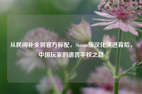 从民间补全到官方标配，Steam版汉化演进背后，中国玩家的语言平权之路