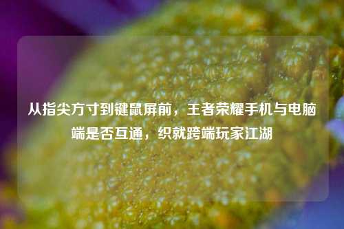 从指尖方寸到键鼠屏前，王者荣耀手机与电脑端是否互通，织就跨端玩家江湖