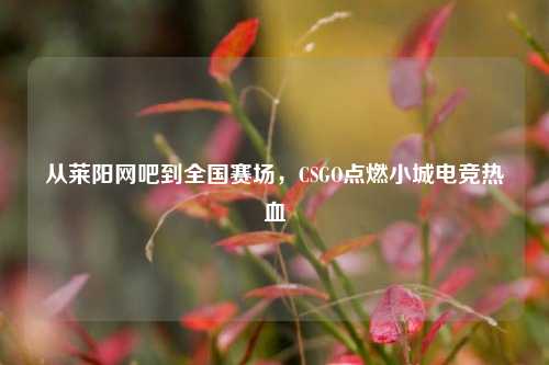 从莱阳网吧到全国赛场，CSGO点燃小城电竞热血